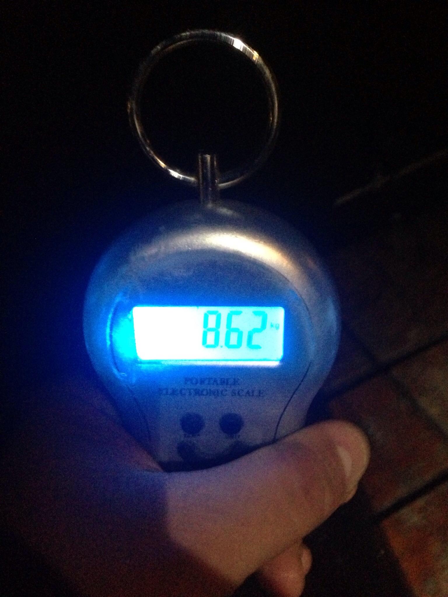 Pleasa 2013 - image11.jpg